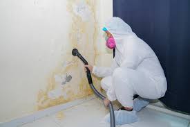 Best Industrial Mold Remediation  in Phoenixville, PA